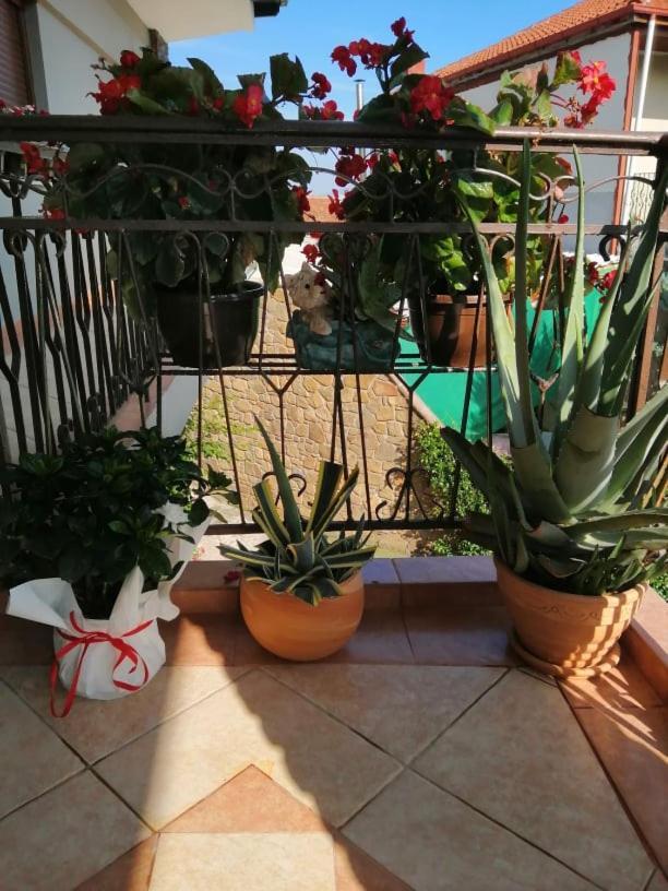 Guesthouse Athanasiou Loutraki (Pella) Exterior foto