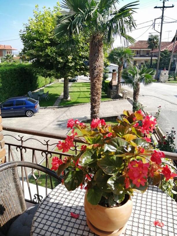 Guesthouse Athanasiou Loutraki (Pella) Exterior foto