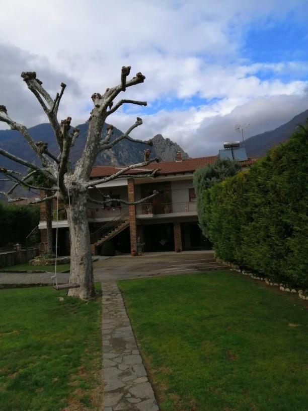 Guesthouse Athanasiou Loutraki (Pella) Exterior foto
